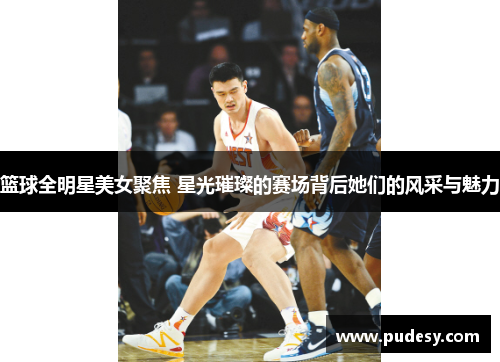 篮球全明星美女聚焦 星光璀璨的赛场背后她们的风采与魅力