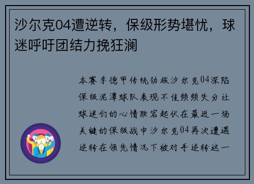 沙尔克04遭逆转，保级形势堪忧，球迷呼吁团结力挽狂澜