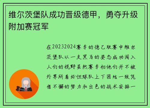 维尔茨堡队成功晋级德甲，勇夺升级附加赛冠军